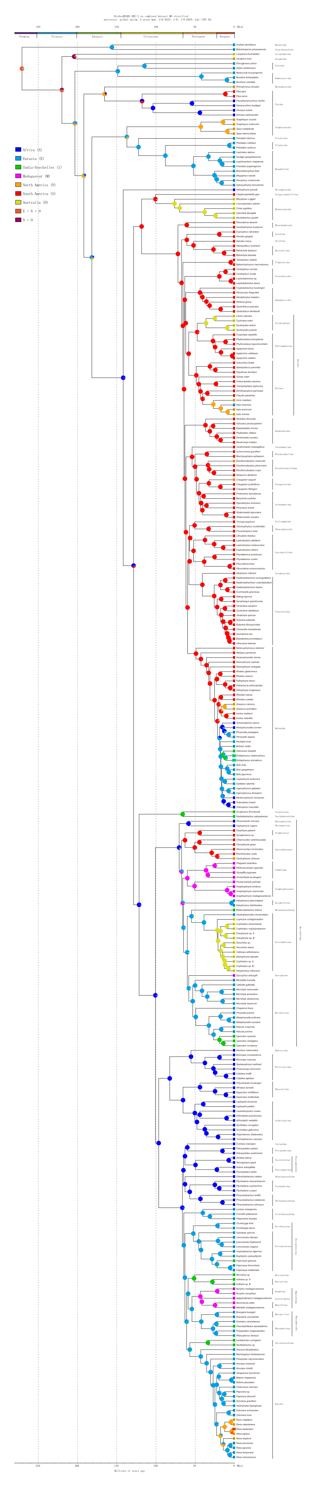 Figure S1 ML Tree 164 SP