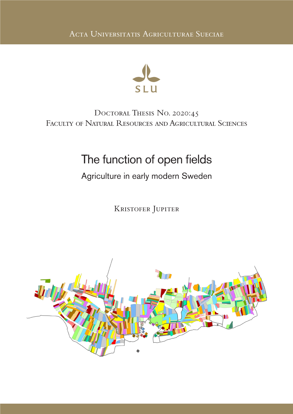 The Function of Open Fields • Kristofer Jupiter