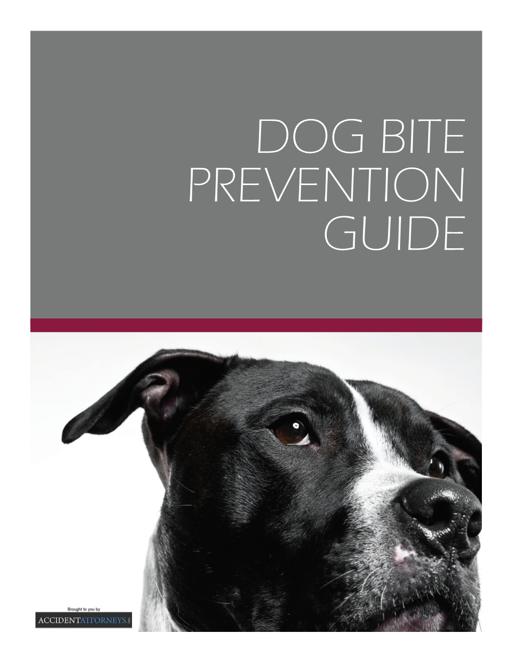 Dog Bite Prevention Guide Brief Introduction