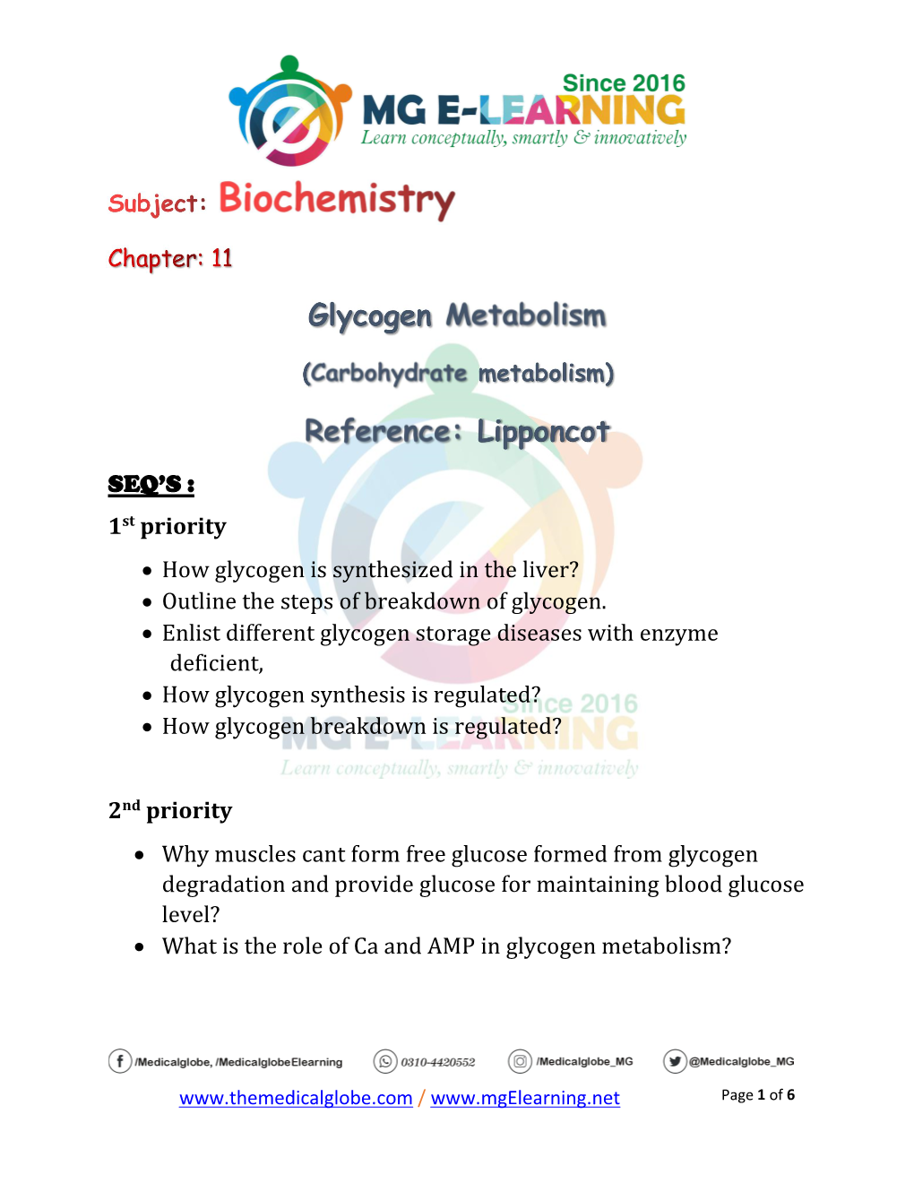 1St Priority • How Glycogen Is Synthesized in the Liver?