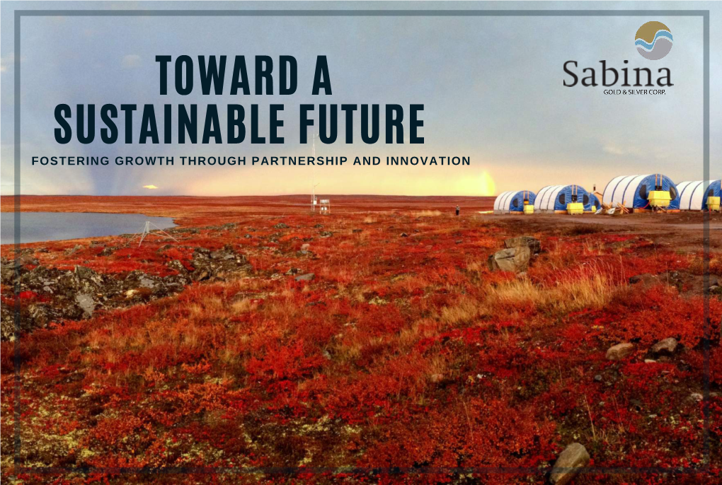 TOWARD a SUSTAINABLE FUTURE FOSTERING GROWTH THROUGH PARTNERSHIP and INNOVATION Table of Contents