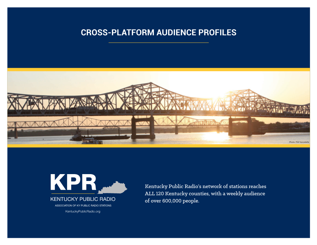 Cross-Platform Audience Profiles