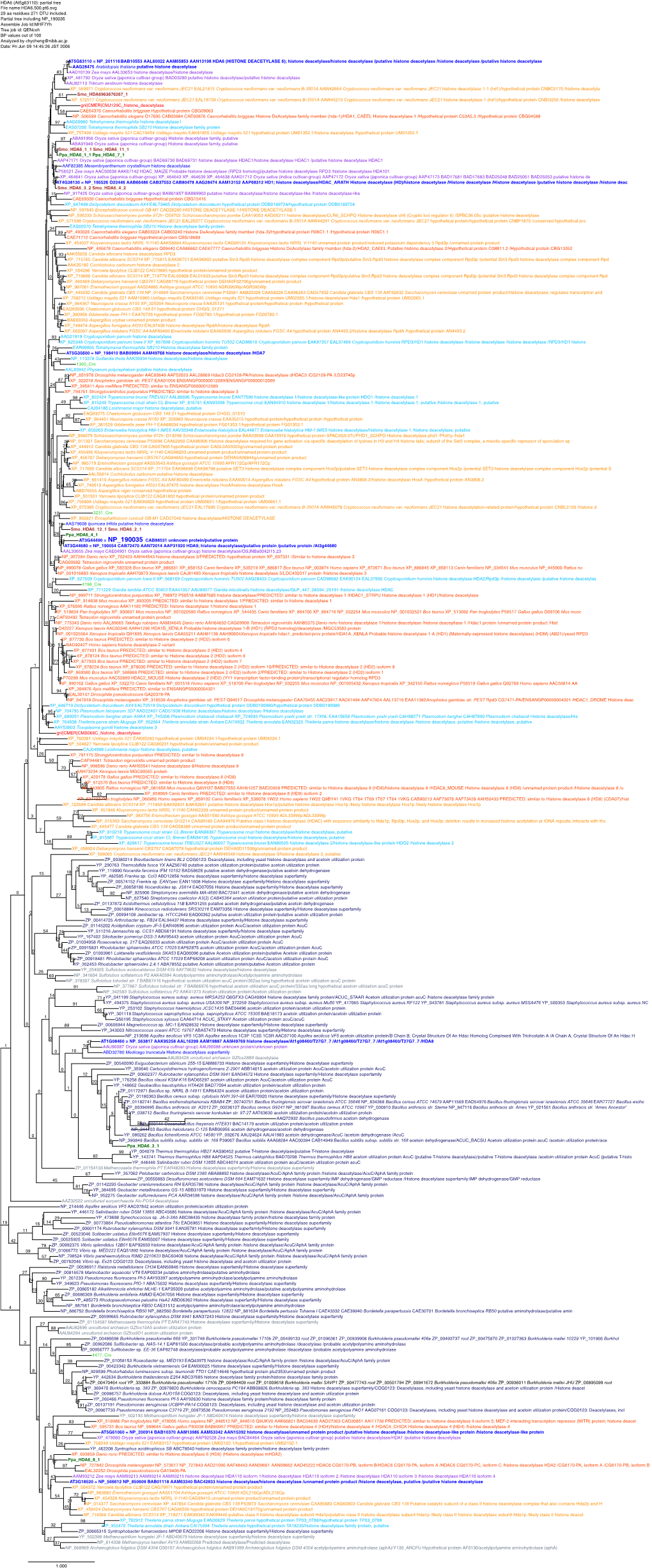 29 Aa Residues 271 OTU Included. Partial Tree Including NP 190035