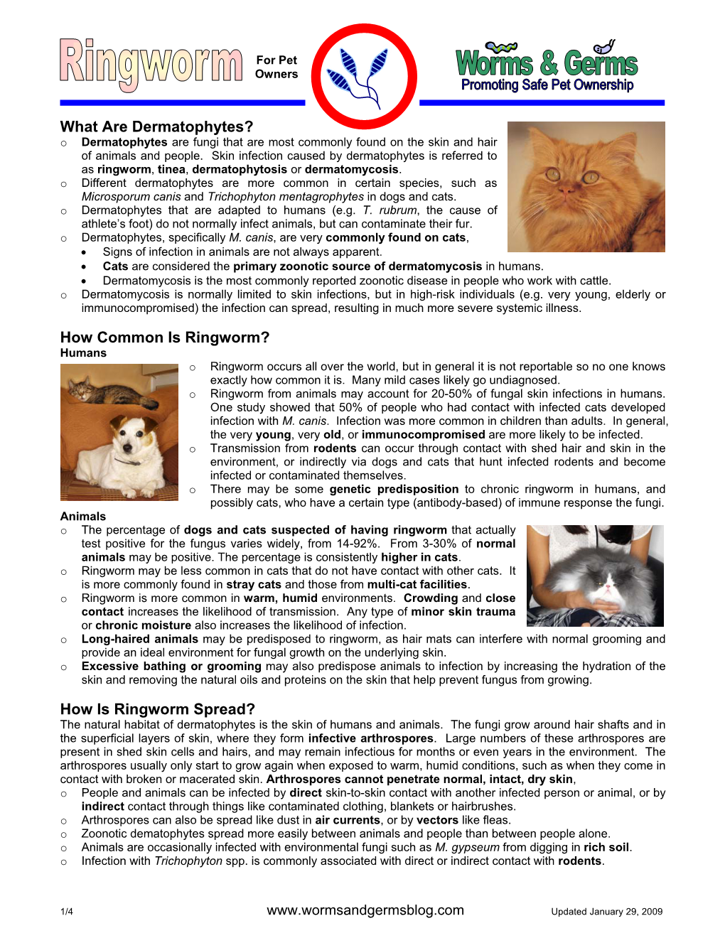 How Is Ringworm Spread? the Natural Habitat of Dermatophytes Is the Skin of Humans and Animals