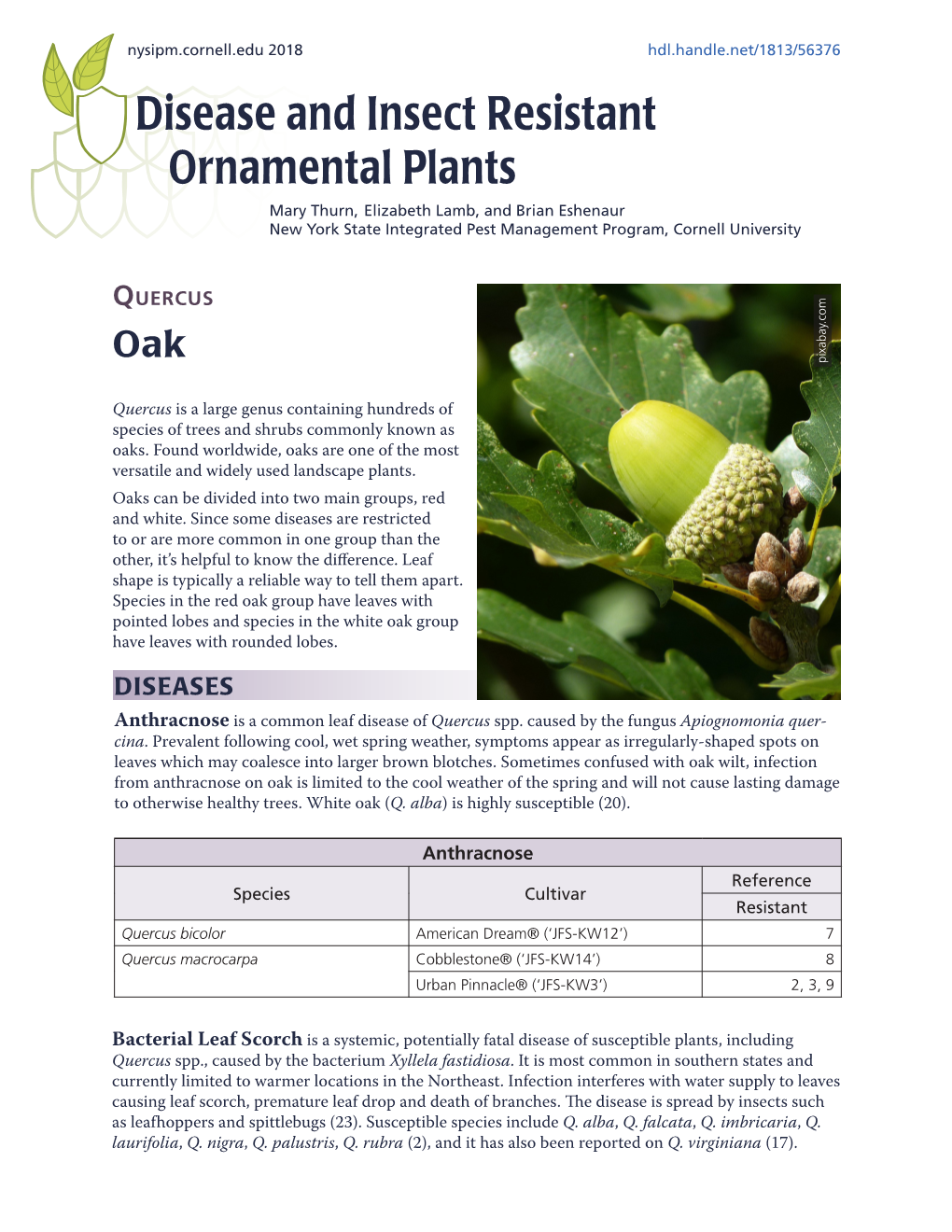 Disease and Insect Resistant Ornamental Plants: Quercus