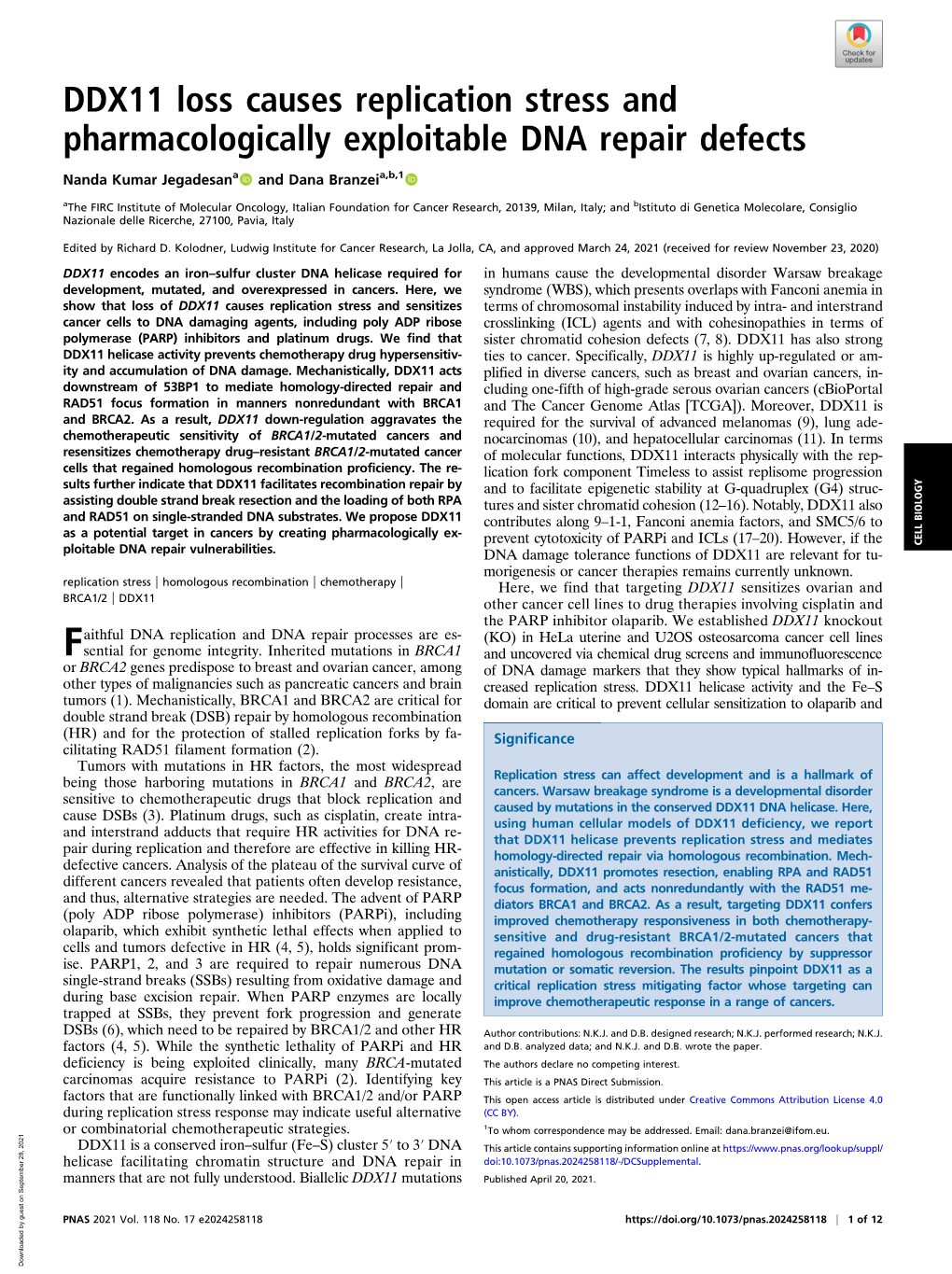 DDX11 Loss Causes Replication Stress and Pharmacologically Exploitable DNA Repair Defects