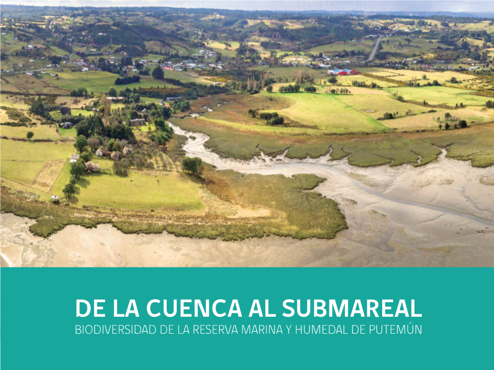 De La Cuenca Al Submareal. Biodiversidad De La Reserva