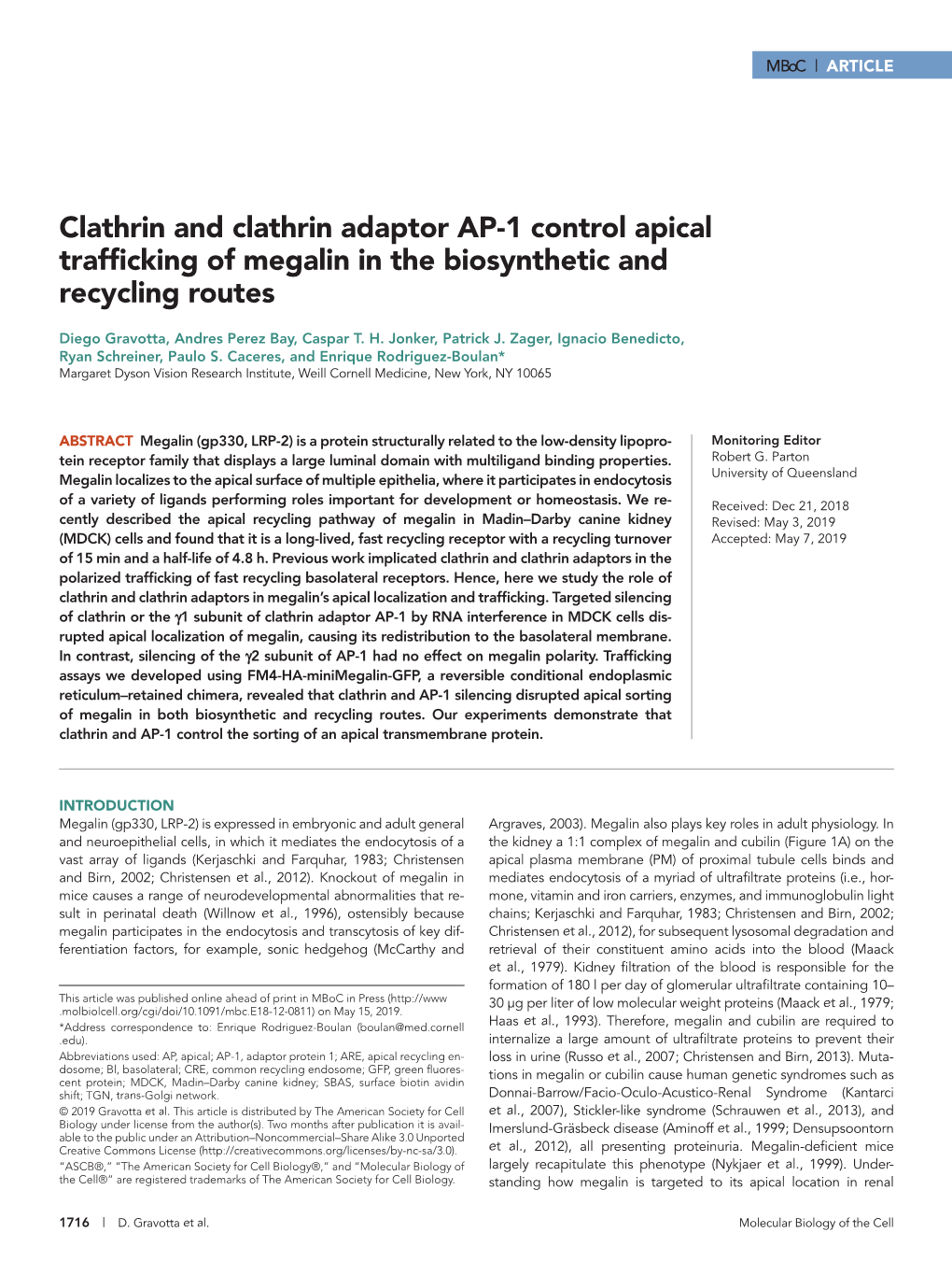 Clathrin and Clathrin Adaptor AP-1 Control Apical Trafficking of Megalin in the Biosynthetic and Recycling Routes