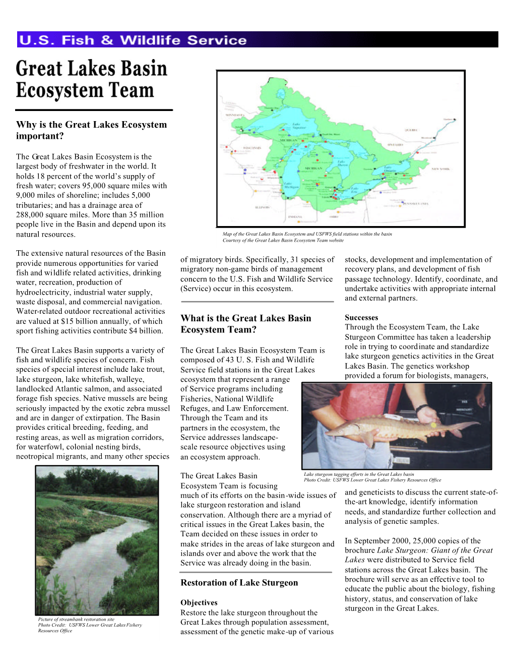 What Is the Great Lakes Basin Ecosystem Team?