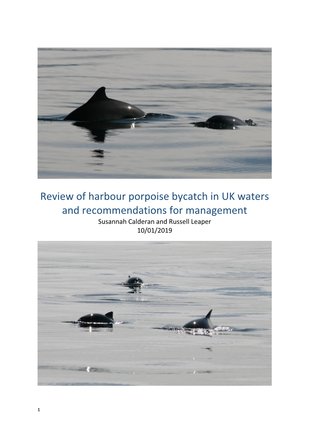 Review of Harbour Porpoise Bycatch in UK Waters and Recommendations for Management Susannah Calderan and Russell Leaper 10/01/2019