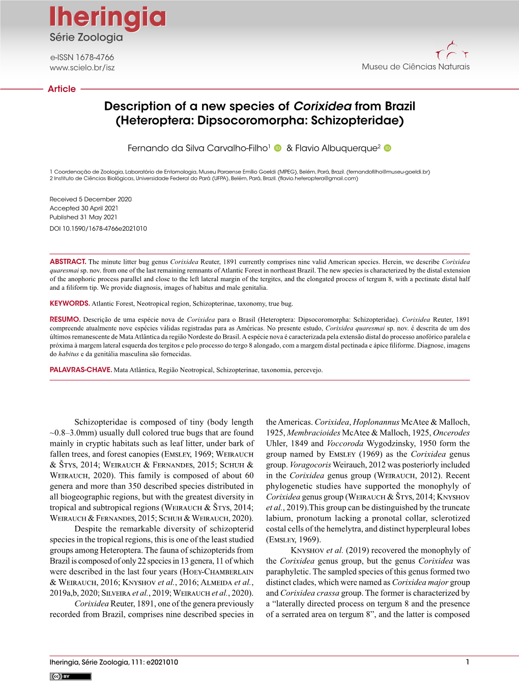 Description of a New Species of Corixidea from Brazil (Heteroptera: Dipsocoromorpha: Schizopteridae)