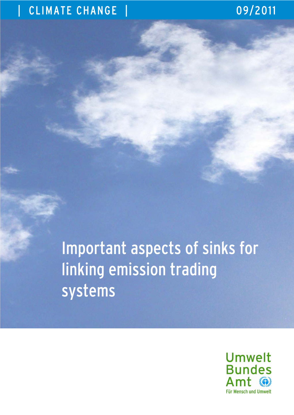 Important Aspects of Sinks for Linking Emission Trading Systems