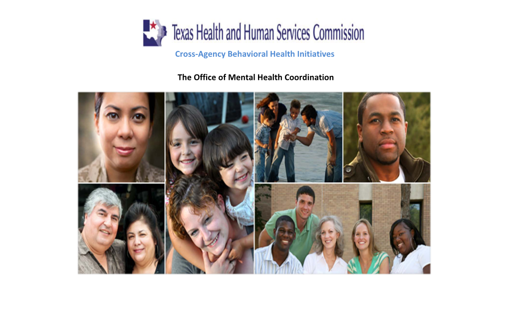 HHSC Mental Health Initiatives Inventory Grid