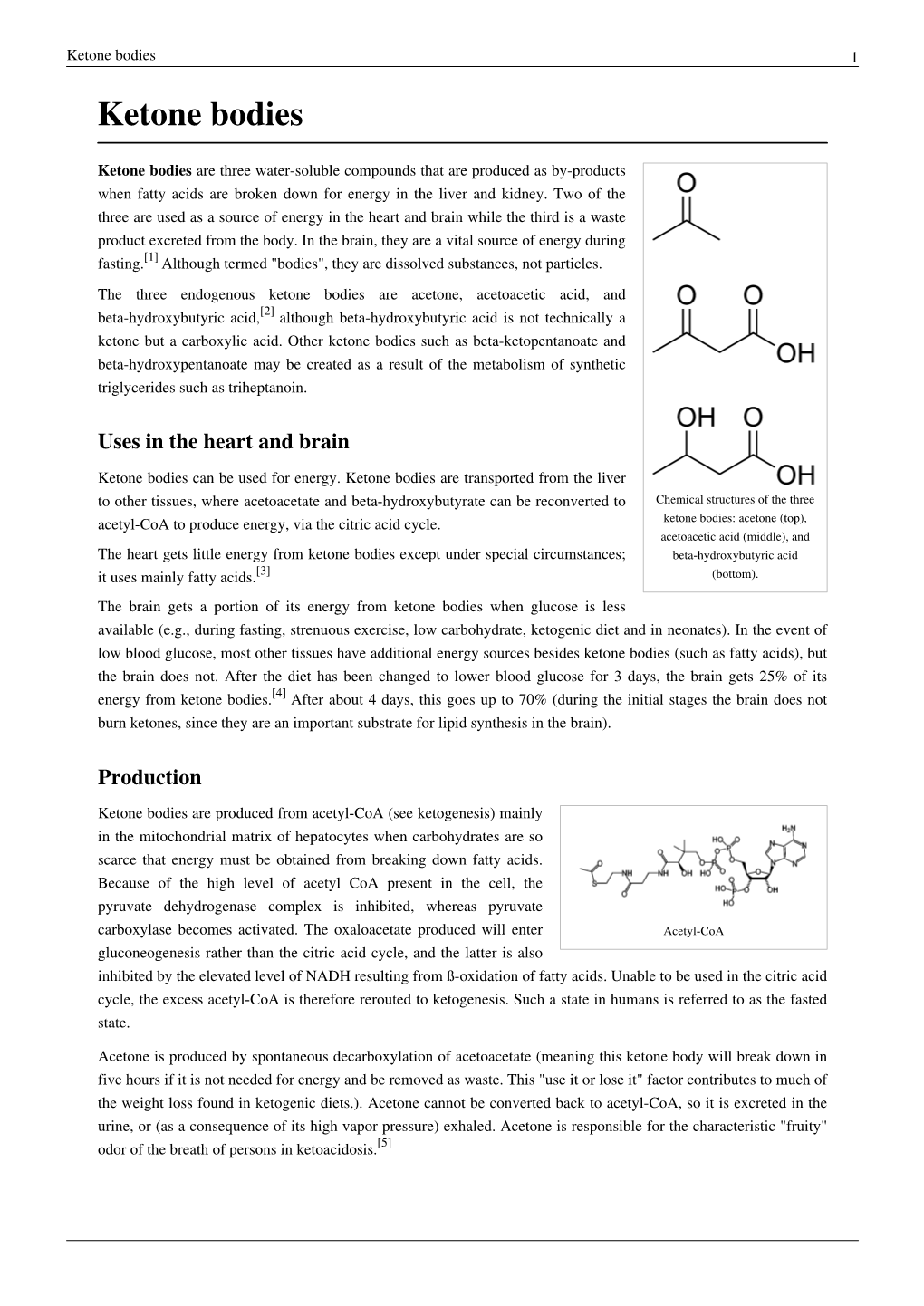 Ketone Bodies 1 Ketone Bodies