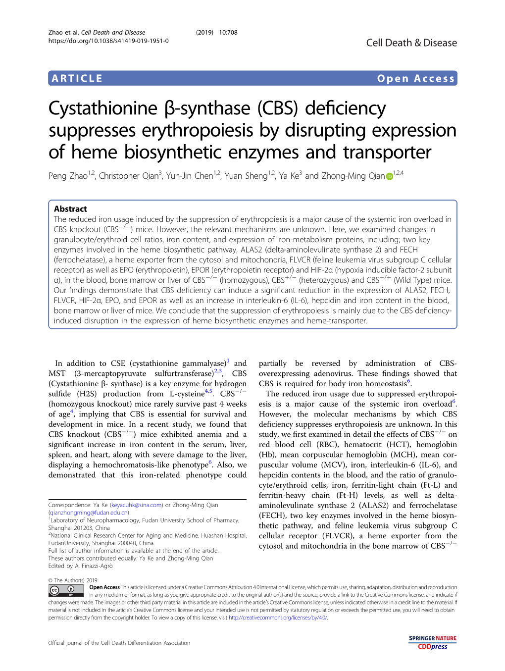 Cystathionine Β-Synthase (CBS) Deficiency Suppresses