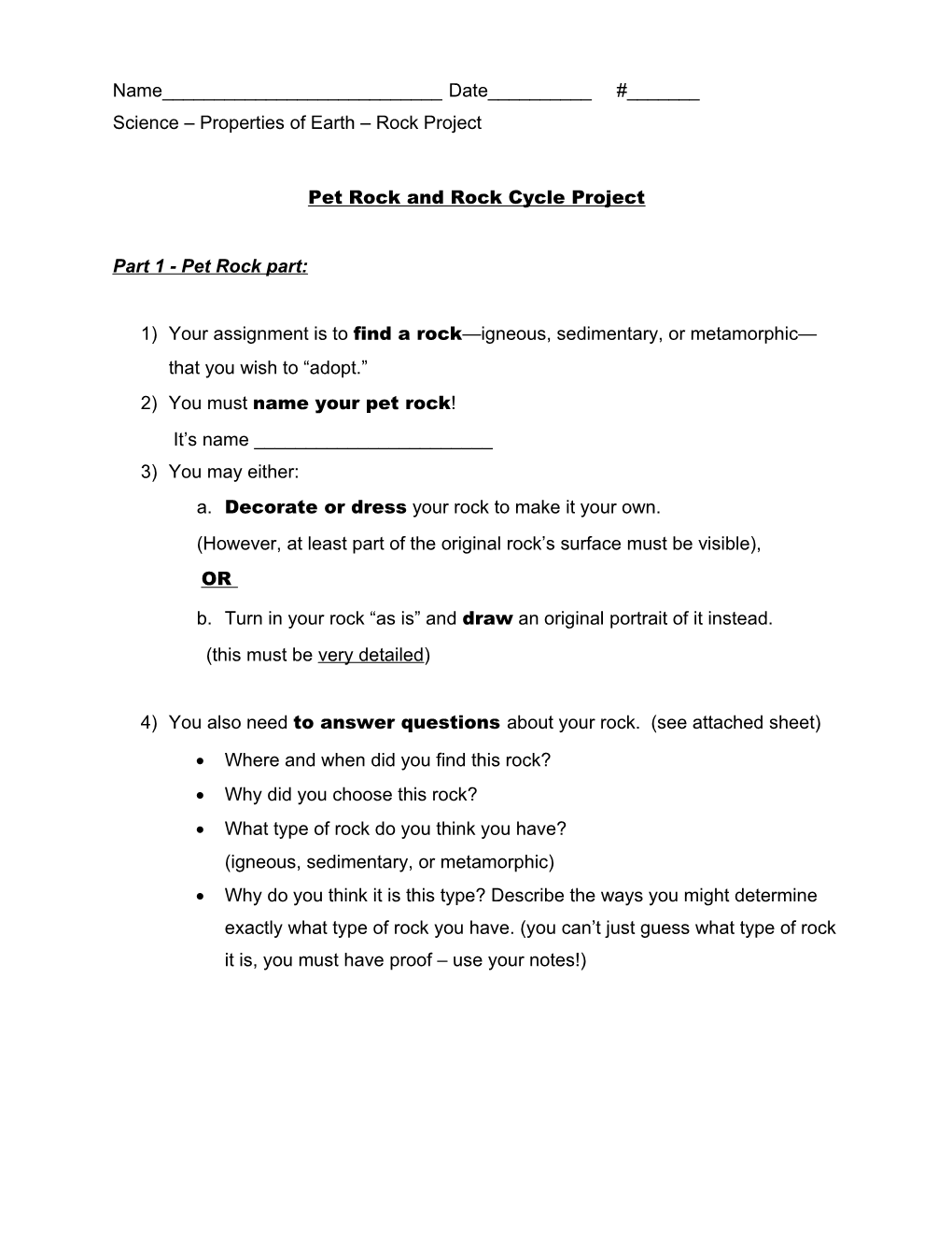 Pet Rock and Rock Cycle Project