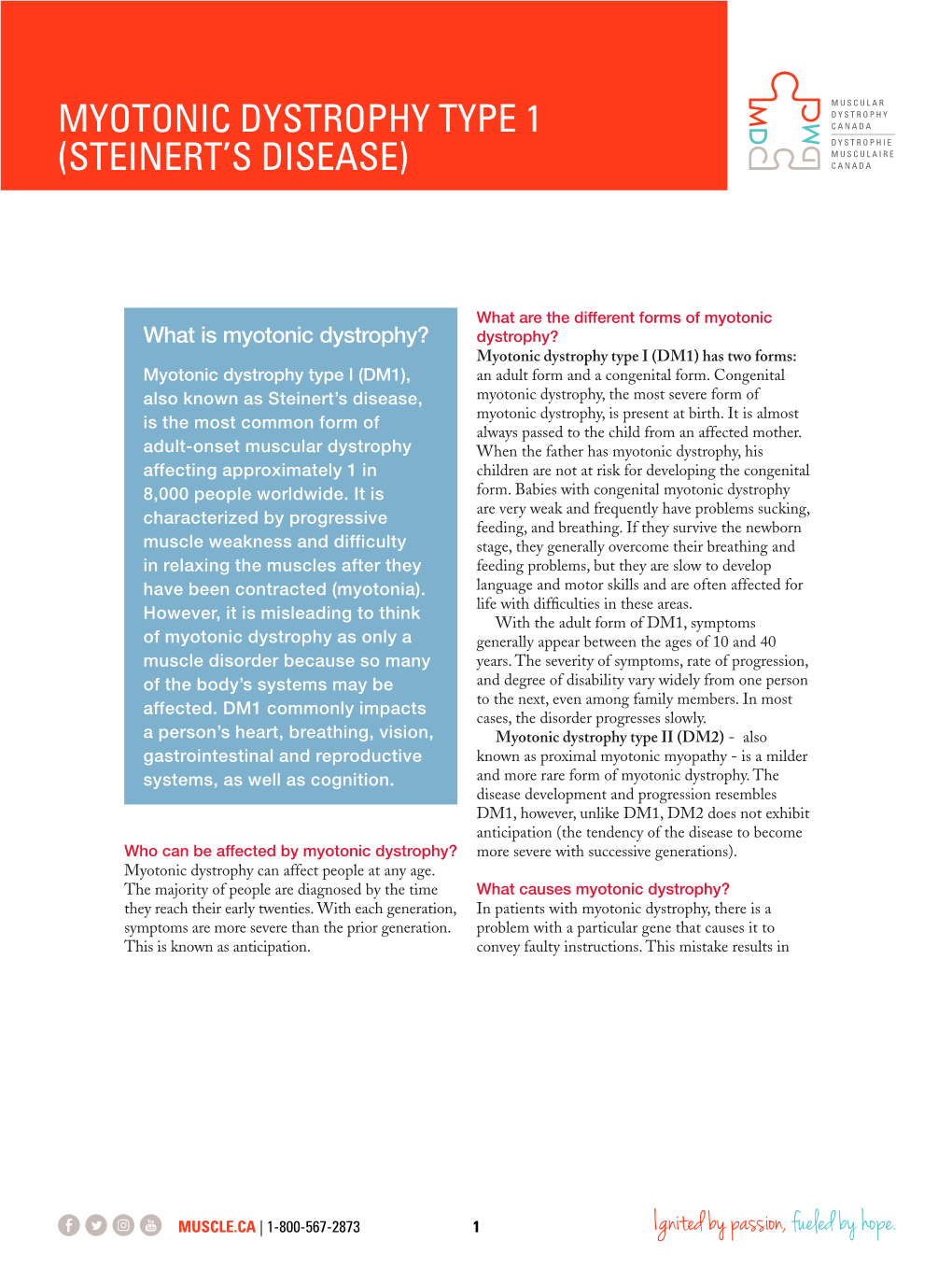 Myotonic Dystrophy Type 1 (Steinert's Disease)