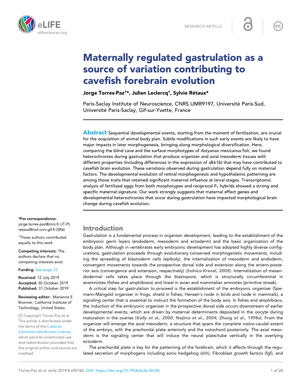 Maternally Regulated Gastrulation As a Source of Variation Contributing to Cavefish Forebrain Evolution Jorge Torres-Paz†*, Julien Leclercq†, Sylvie Re´ Taux*