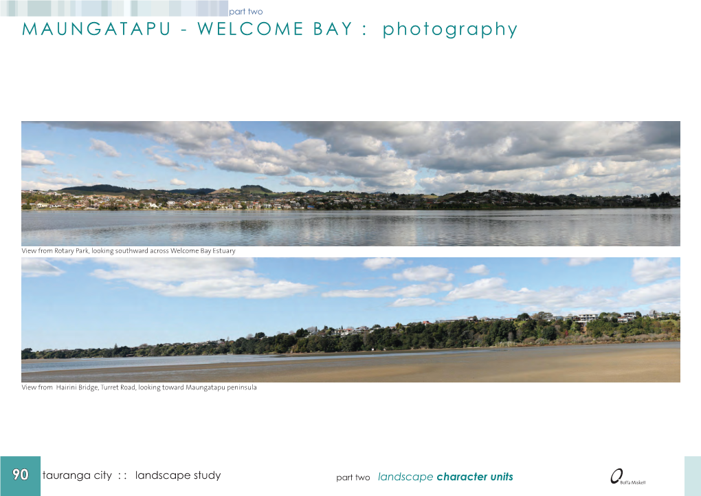 MAUNGATAPU - WELCOME BAY : Photography