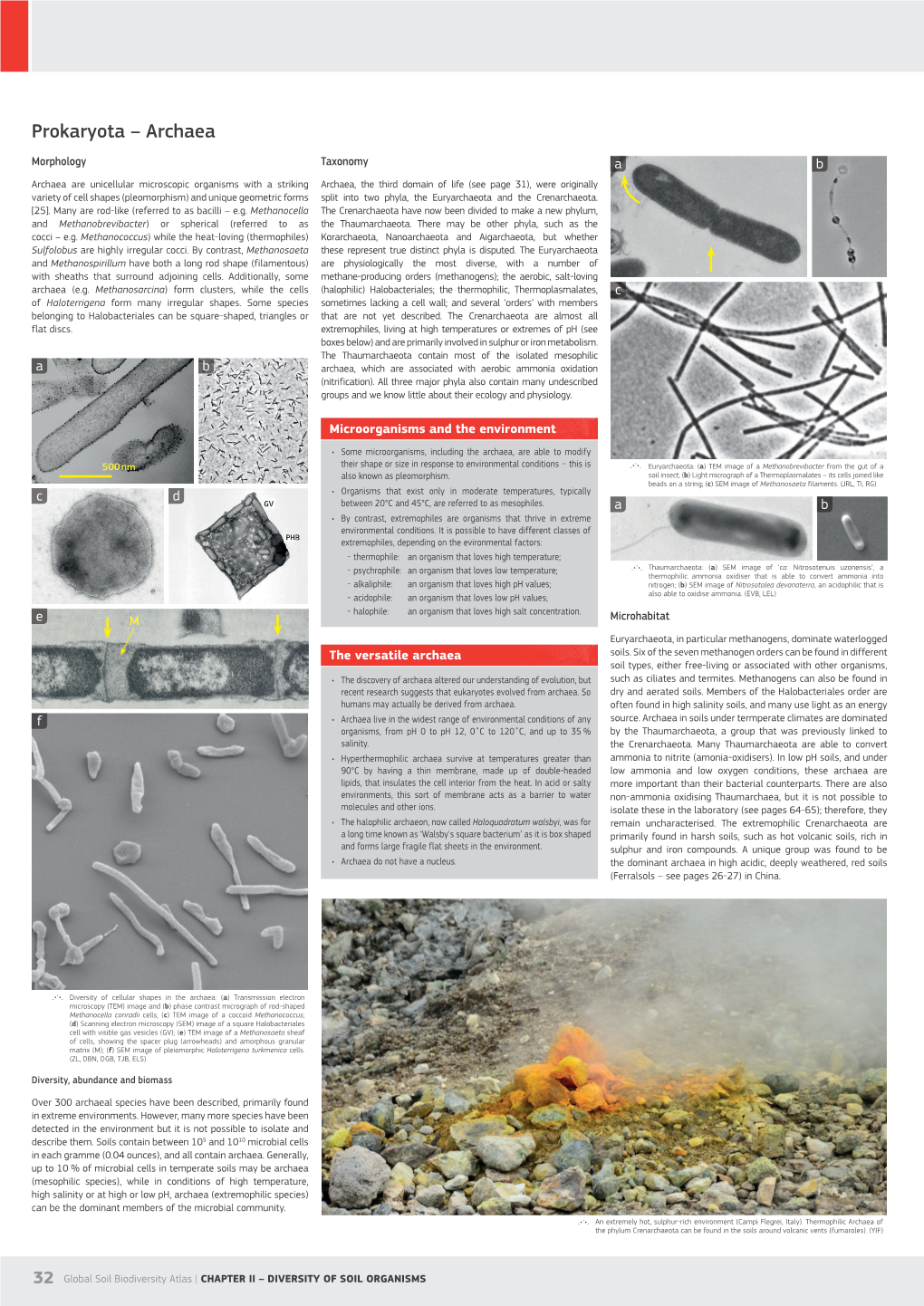 Prokaryota – Archaea