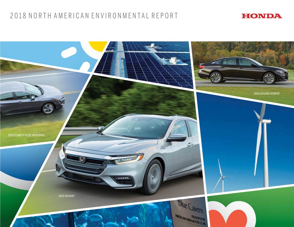 2018 North American Environmental Report