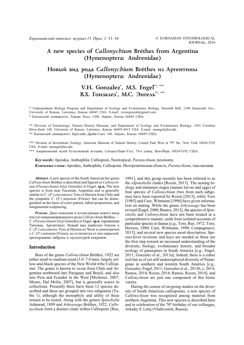 Hymenoptera: Andrenidae) Íîâûé Âèä Ðîäà Callonychium Bréthes Èç Àðãåíòèíû (Hymenoptera: Andrenidae) V.H