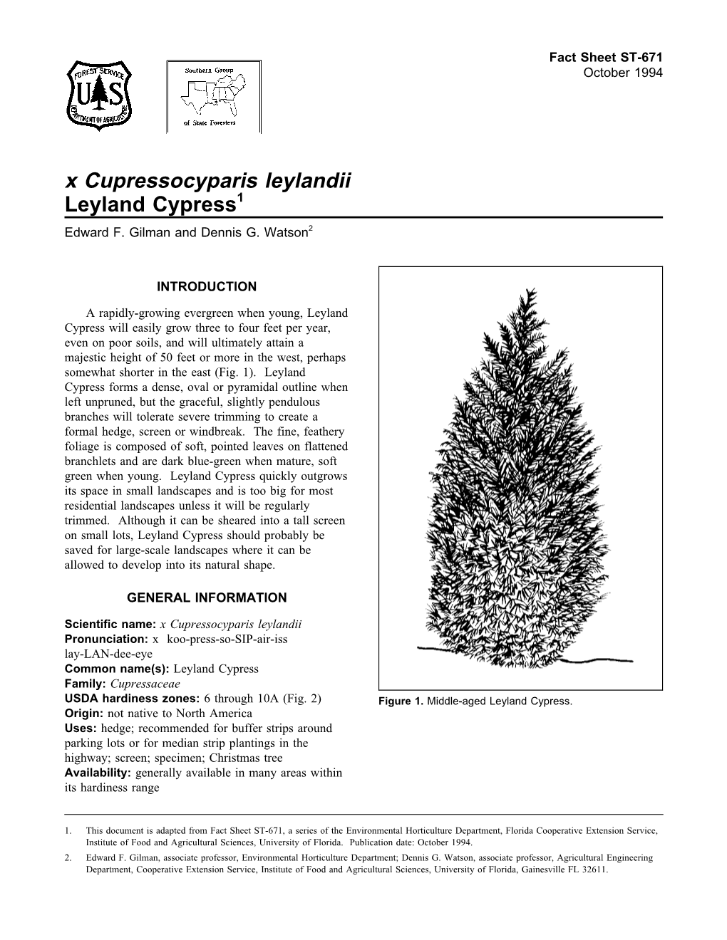 X Cupressocyparis Leylandii Leyland Cypress1 Edward F