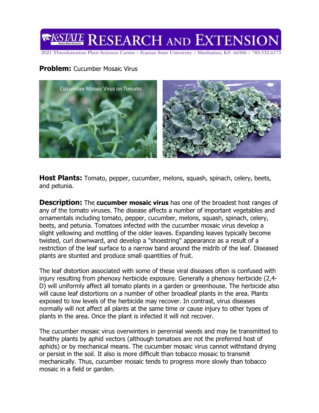 Cucumber Mosaic Virus Host Plants