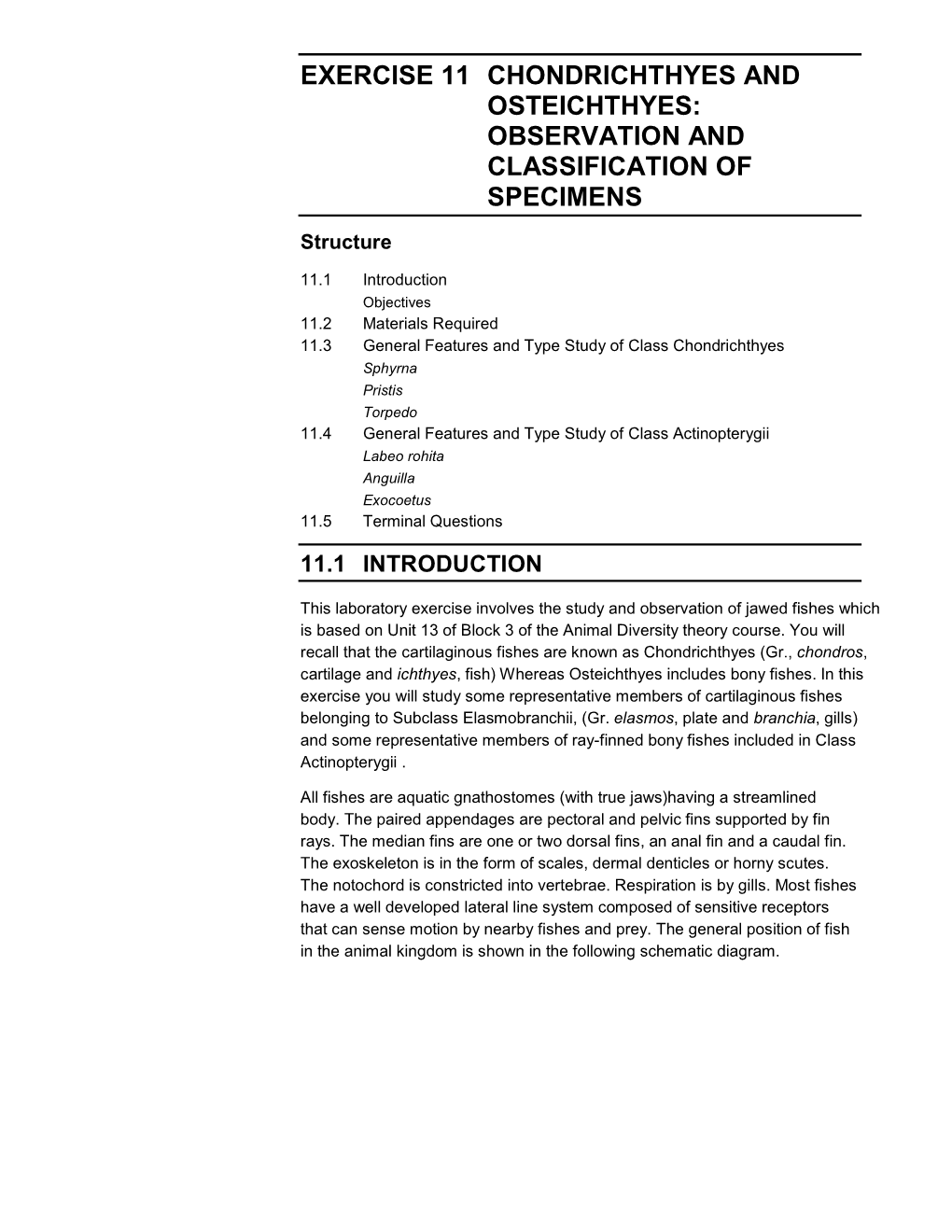 Exercise 11 Chondrichthyes and Osteichthyes: Observation and Classification of Specimens