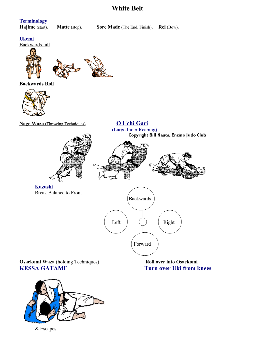 View Junior Judo Syllabus