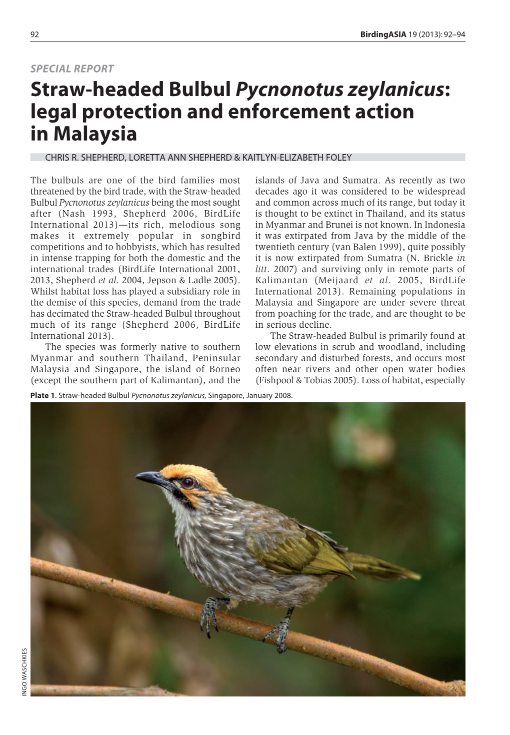 Straw-Headed Bulbul Pycnonotus Zeylanicus: Legal Protection and Enforcement Action in Malaysia CHRIS R