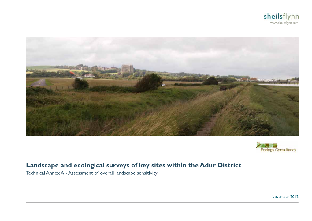 Landscape and Ecological Surveys of Key Sites in Adur