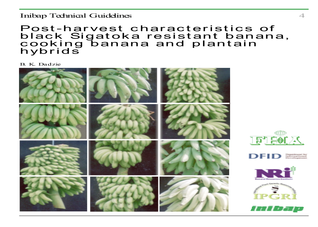 Post-Harvest Characteristics of Black Sigatoka Resistant Banana, Cooking Banana and Plantain Hybrids