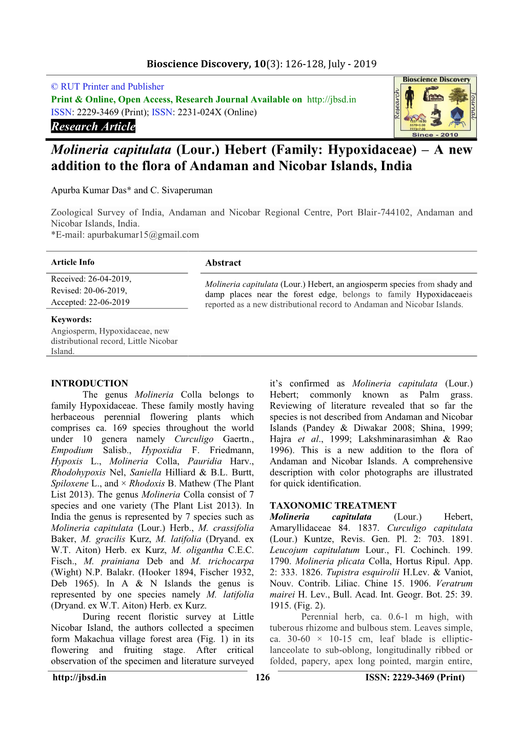 Molineria Capitulata (Lour.) Hebert (Family: Hypoxidaceae) – a New Addition to the Flora of Andaman and Nicobar Islands, India