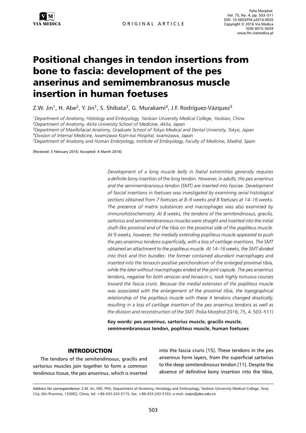 Development of the Pes Anserinus and Semimembranosus Muscle Insertion in Human Foetuses Z.W