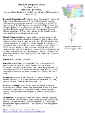 Trifolium Douglasii House Douglas' Clover Fabaceae - Pea Family Status: State Endangered, BLM Sensitive, USFS Sensitive Rank: G2 / S1