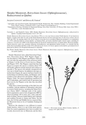 Slender Moonwort, Botrychium Lineare (Ophioglossaceae), Rediscovered in Quebec
