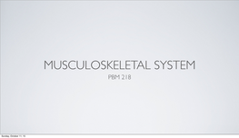 Musculoskeletal System Pbm 218