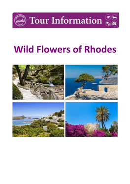 Wild Flowers of Rhodes