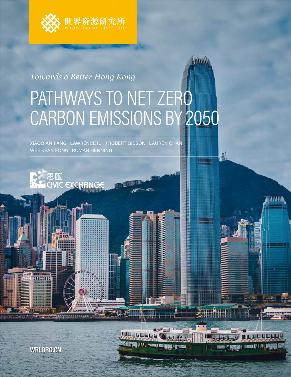 Pathways to Net Zero Carbon Emissions by 2050