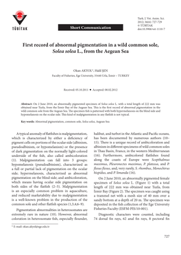 First Record of Abnormal Pigmentation in a Wild Common Sole, Solea Solea L., from the Aegean Sea
