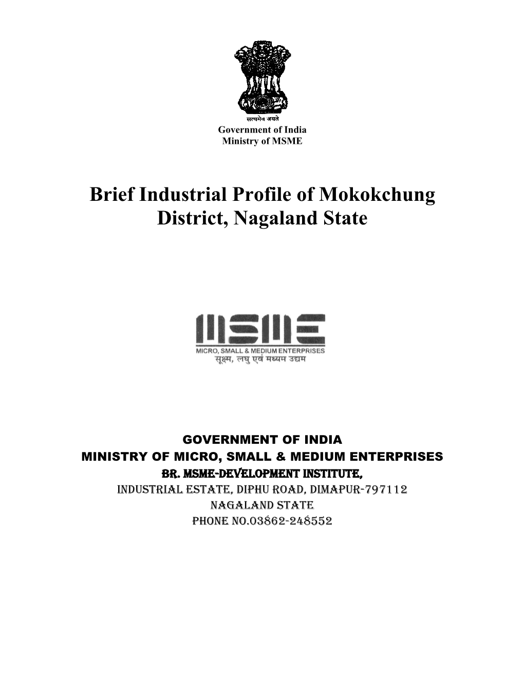 Brief Industrial Profile of Mokokchung District, Nagaland State