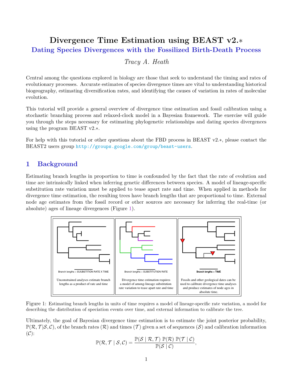 Divergence Time Estimation Using BEAST V2.∗ Dating Species Divergences with the Fossilized Birth-Death Process Tracy A