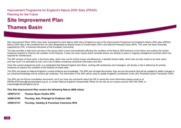 Site Improvement Plan Thames Basin