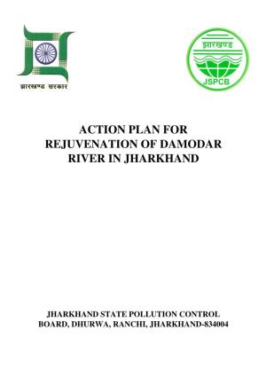 River Action Plan Damodar