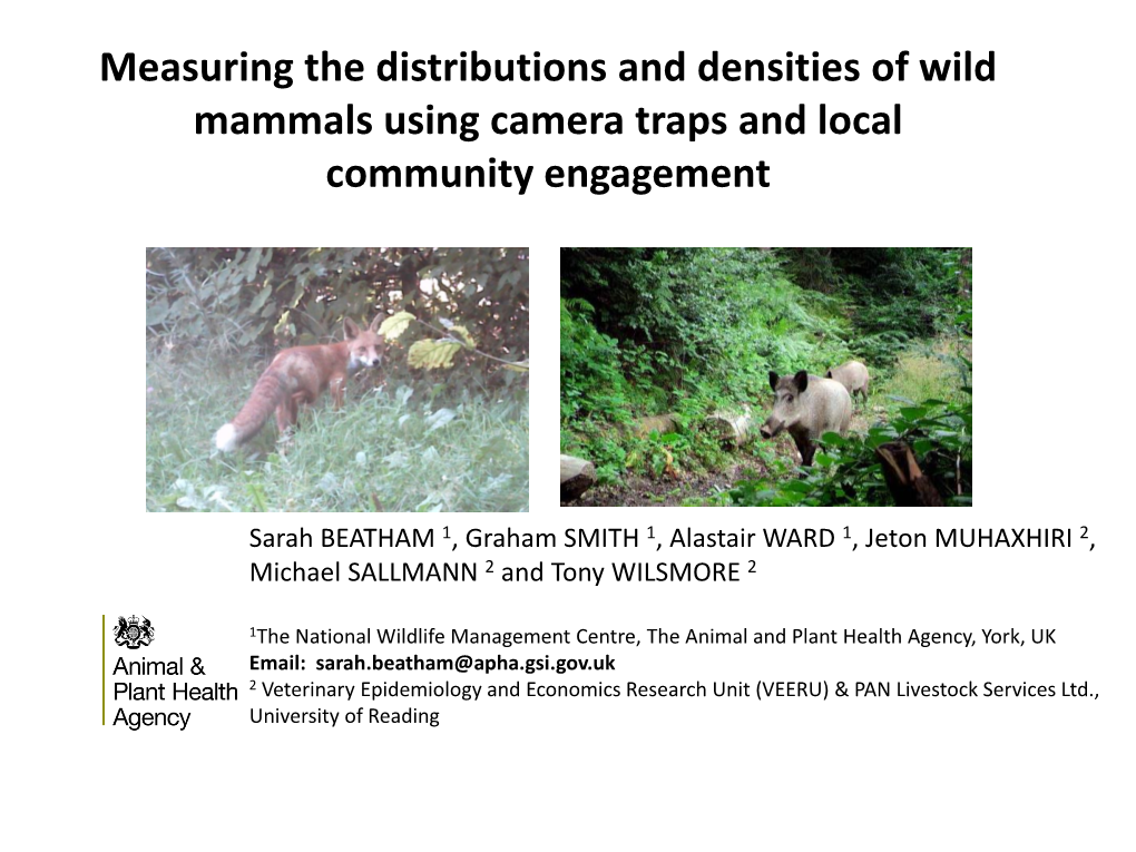 Measuring the Distributions and Densities of Wild Mammals In