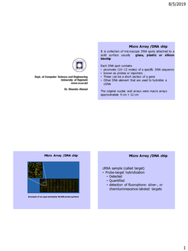 Structure and Function Of