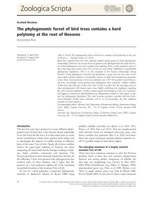 The Phylogenomic Forest of Bird Trees Contains a Hard Polytomy at the Root of Neoaves