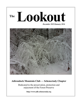 The Lookout 2016-01
