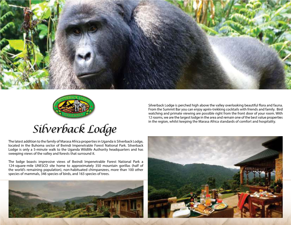 Silverback Lodge Is Perched High Above the Valley Overlooking Beautiful Lora and Fauna